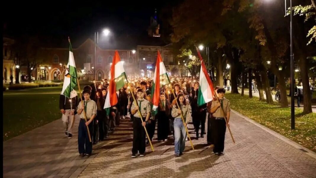 Tensiuni între PNL și UDMR la Satu Mare
