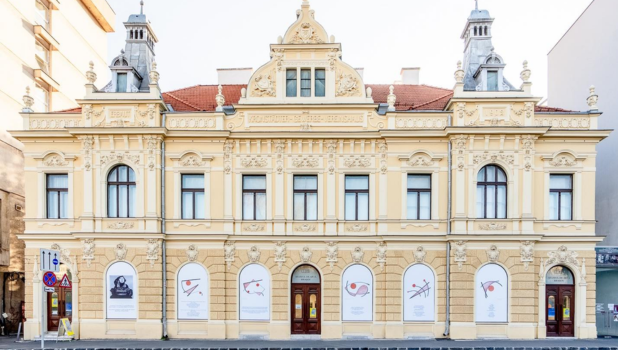 Zi Offline la Muzeul de Artă Brașov